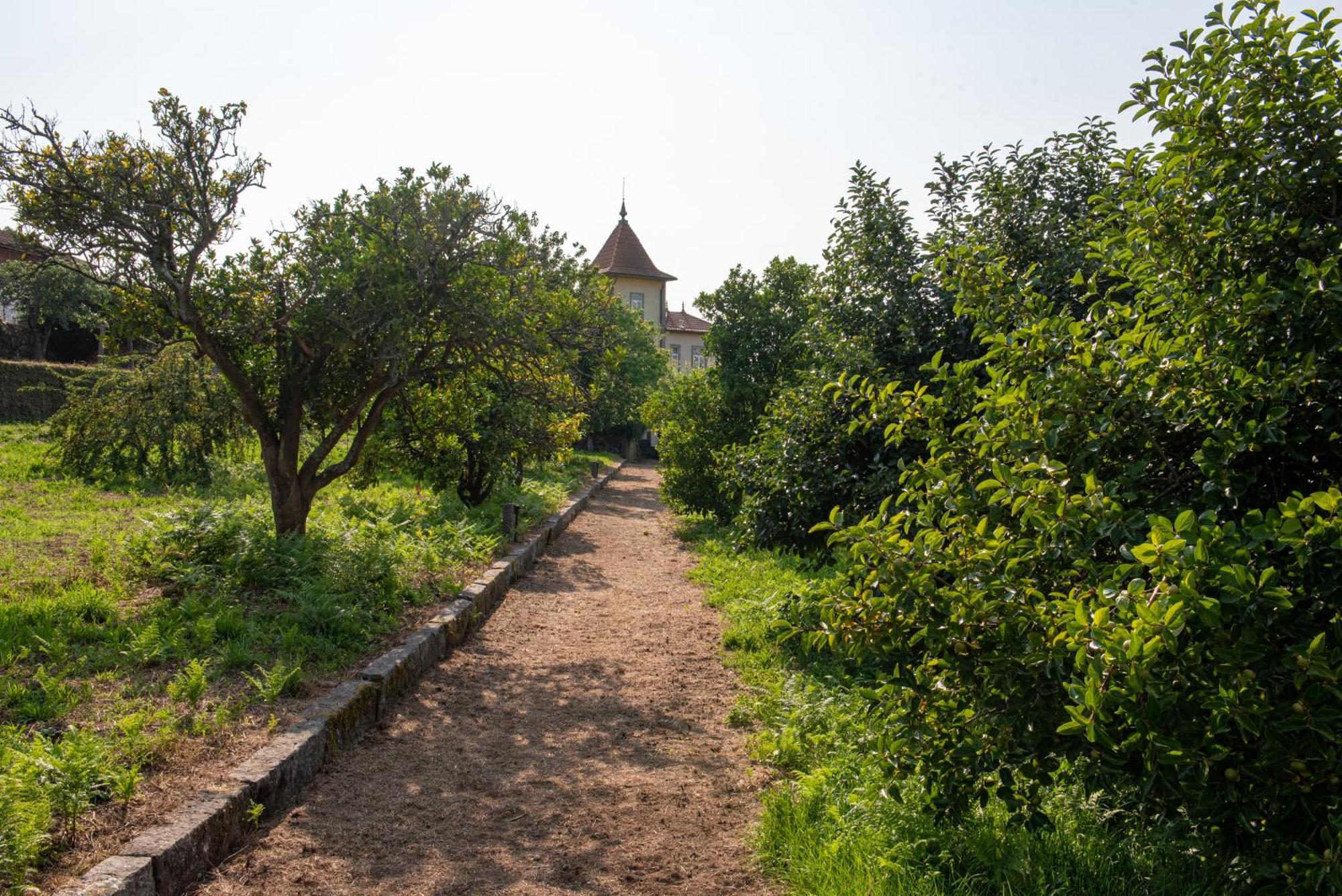 Casa Da Torre Luxury Villa In Брага Экстерьер фото
